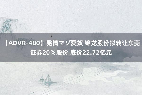 【ADVR-480】発情マゾ愛奴 锦龙股份拟转让东莞证券20％股份 底价22.72亿元