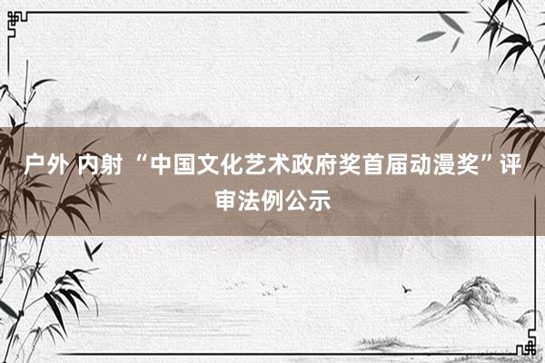 户外 内射 “中国文化艺术政府奖首届动漫奖”评审法例公示