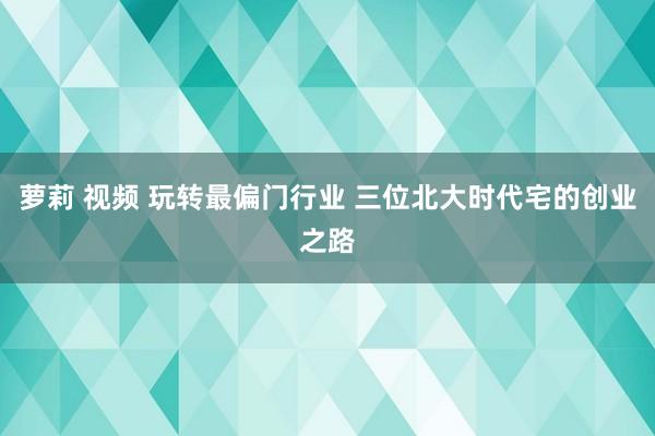 萝莉 视频 玩转最偏门行业 三位北大时代宅的创业之路