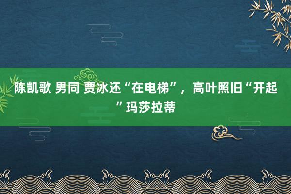 陈凯歌 男同 贾冰还“在电梯”，高叶照旧“开起”玛莎拉蒂