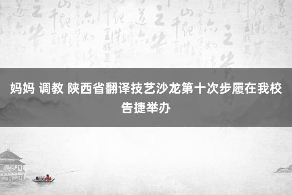 妈妈 调教 陕西省翻译技艺沙龙第十次步履在我校告捷举办