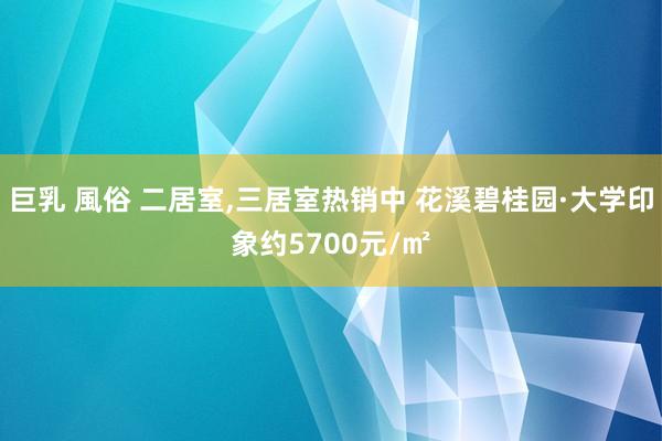 巨乳 風俗 二居室，三居室热销中 花溪碧桂园·大学印象约5700元/㎡