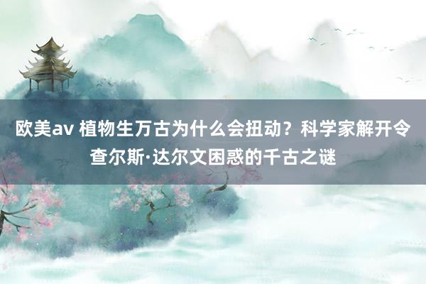 欧美av 植物生万古为什么会扭动？科学家解开令查尔斯·达尔文困惑的千古之谜