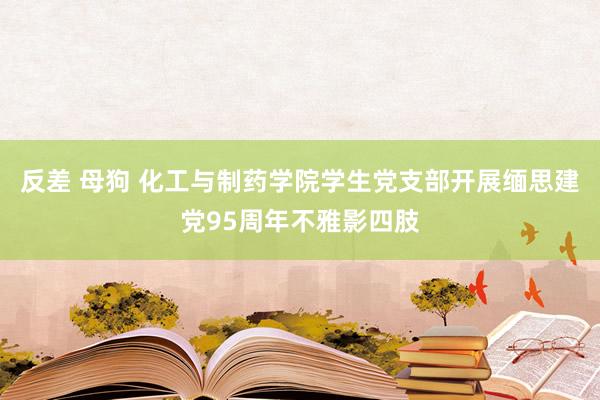 反差 母狗 化工与制药学院学生党支部开展缅思建党95周年不雅影四肢